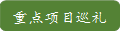 重点项目巡礼